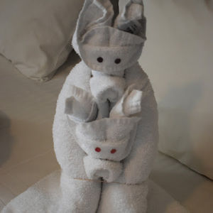 Meet your Posher, Allison